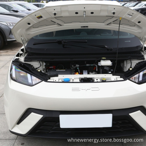 High Quality and Hot Sale Electric Automobile for BYD Seagull 2023 Free Edition